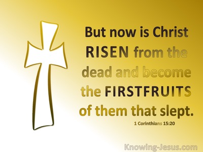1 Corinthians 15:20 Christ Is Risen The Firstfruit Of Them That Slept (yellow)